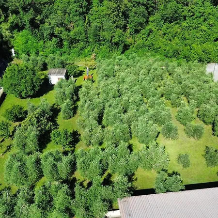 Villa Fiorita A Puegnago - Bgl *