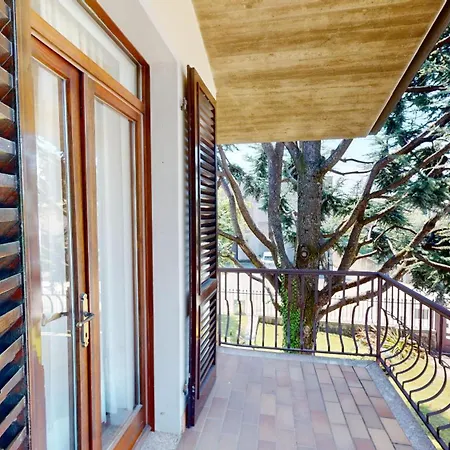 Fiorita With Olive Groove A - Bgl بويجناجو