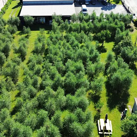 Fiorita A Puegnago - Bgl *